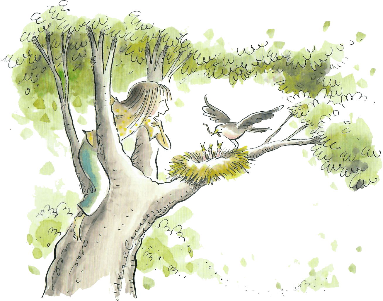 Picture of the author